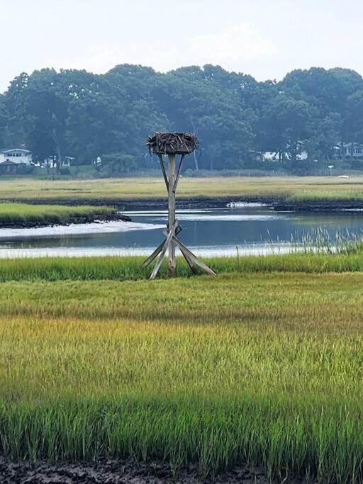 オールド・セイブルック Great Hammcock Getawayヴィラ エクステリア 写真